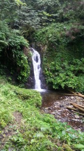 20130713_102645