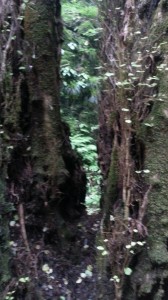 20130713_103754