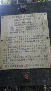 20130713_103918