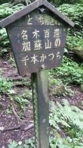 20130713_103927