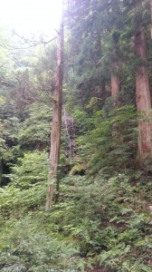 20130713_105800(0)