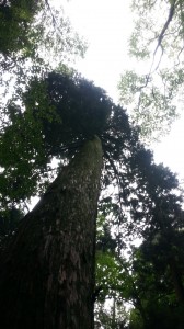 20130713_111331