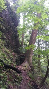 20130713_111507