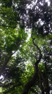 20130713_120245
