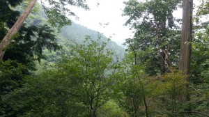 20130713_121232