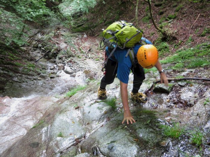 image12