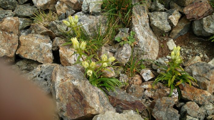image17