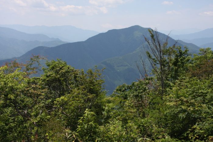 image6