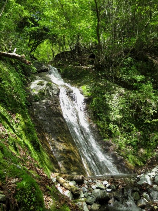 image7
